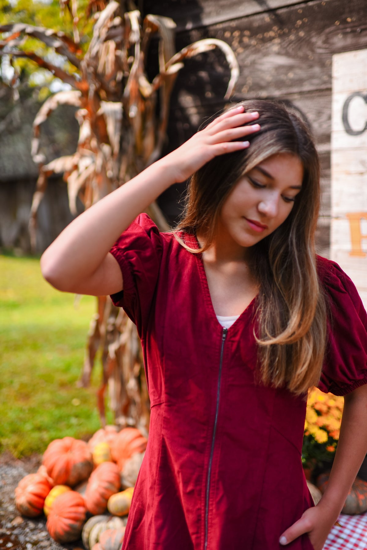 Vesta Mini Dress