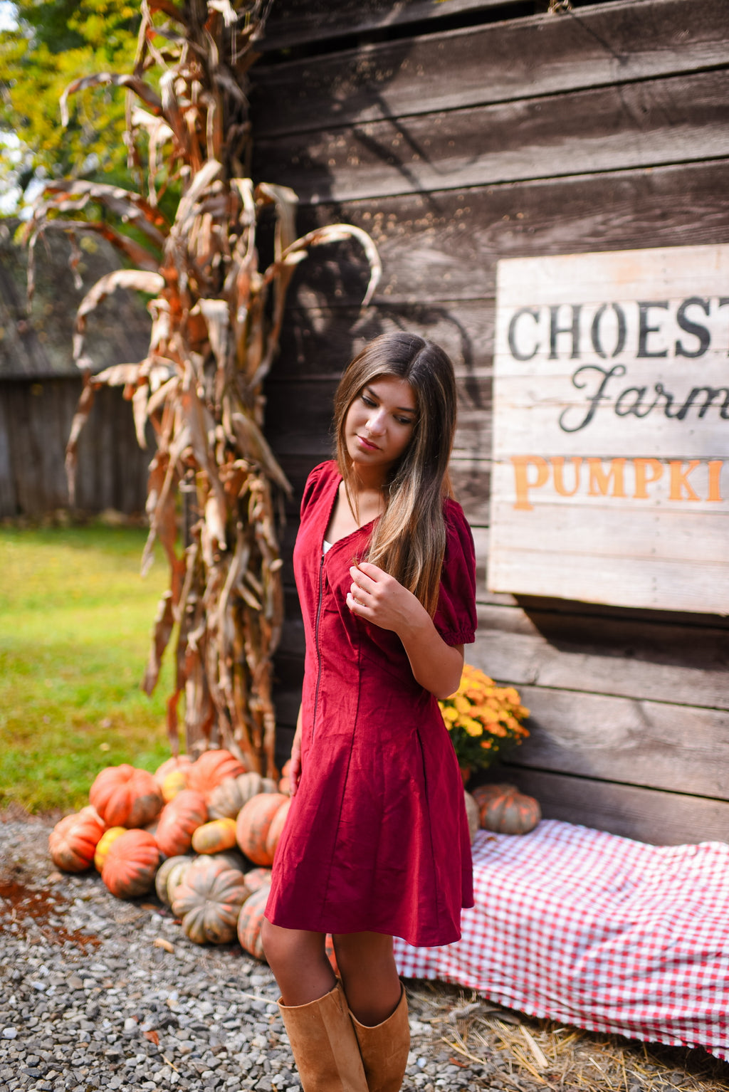 Vesta Mini Dress