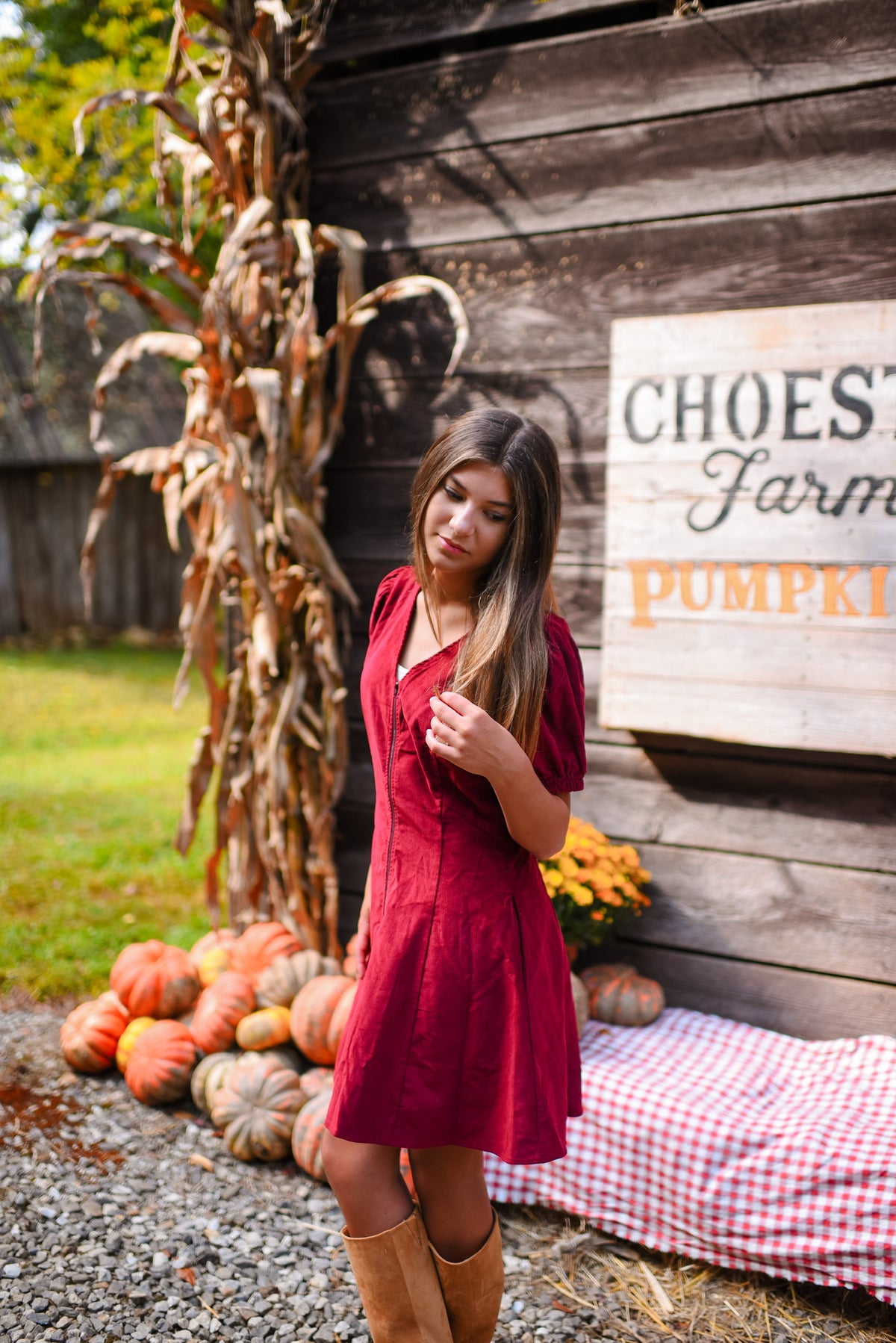 Vesta Mini Dress