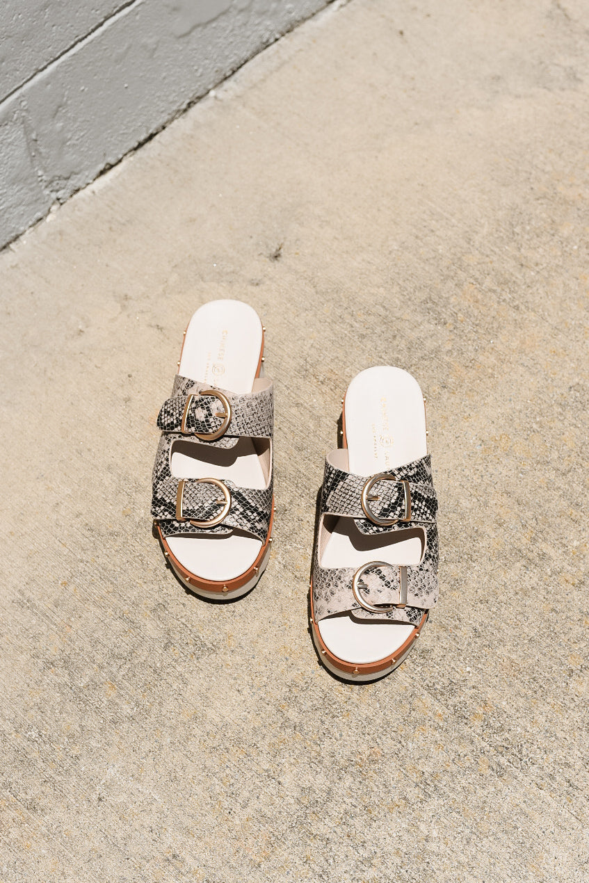 Surf’s Up Sandals - Snake