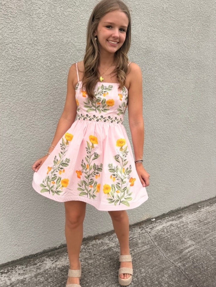 Rachel Mini Dress