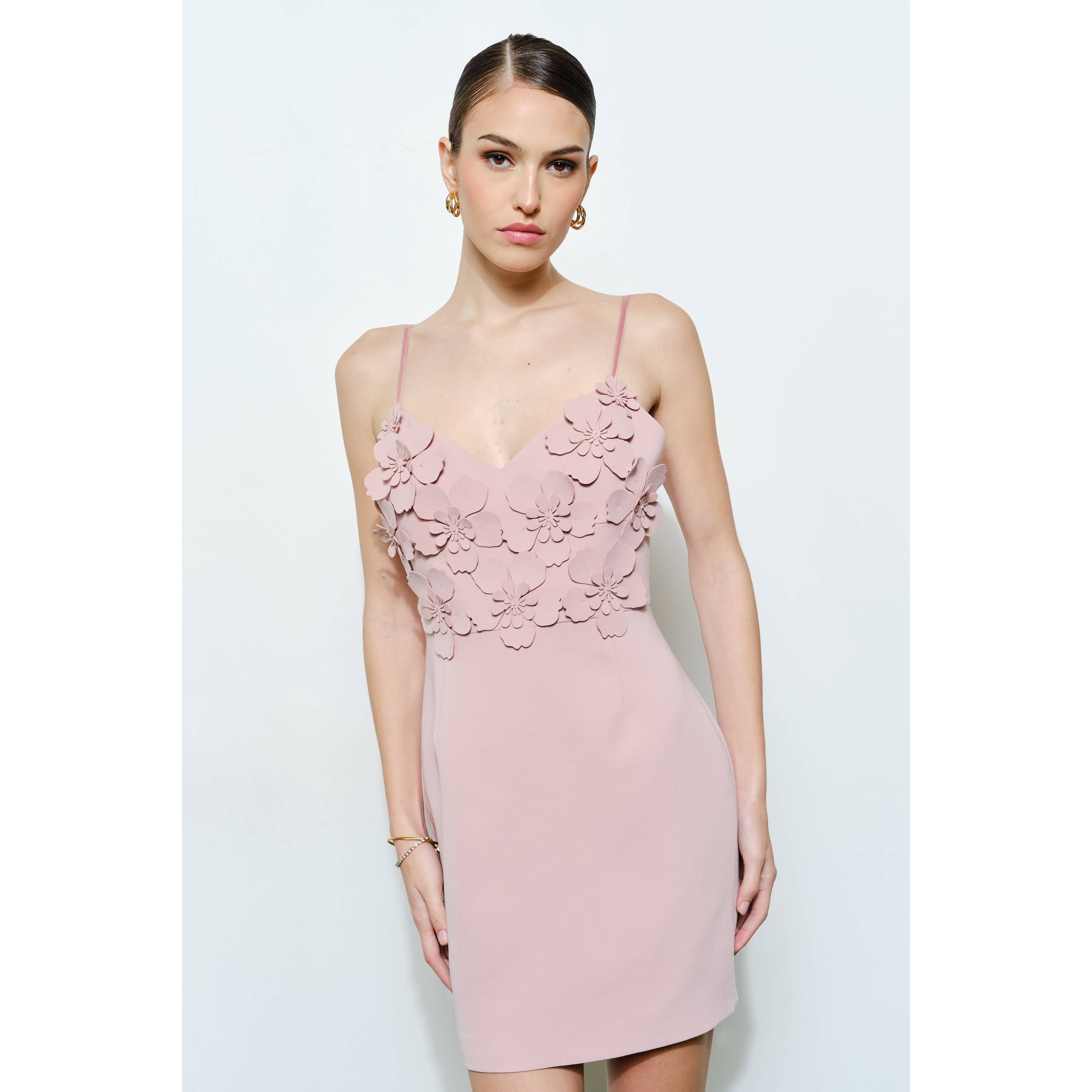 Romantic Bodycon Mini Dress