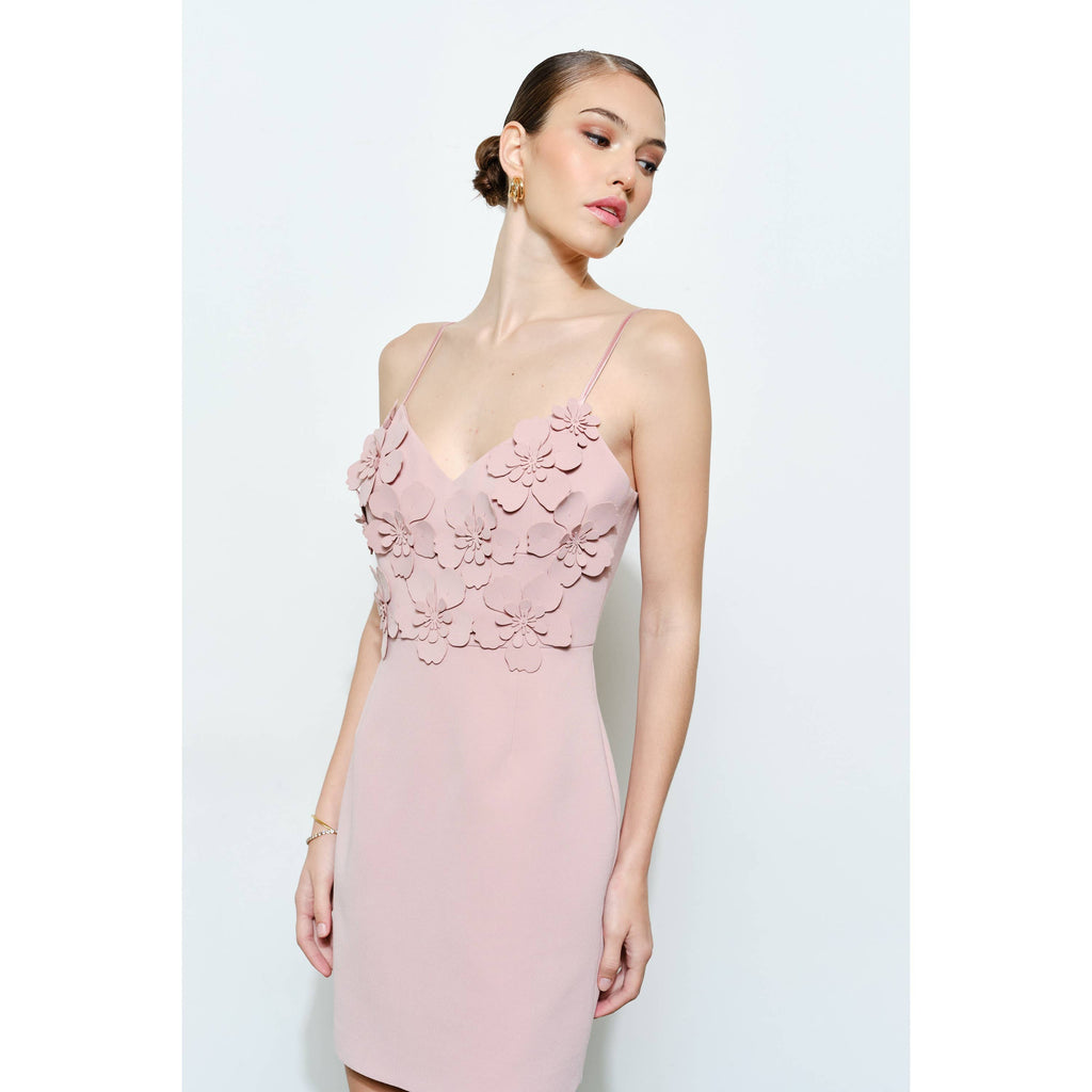 Romantic Bodycon Mini Dress