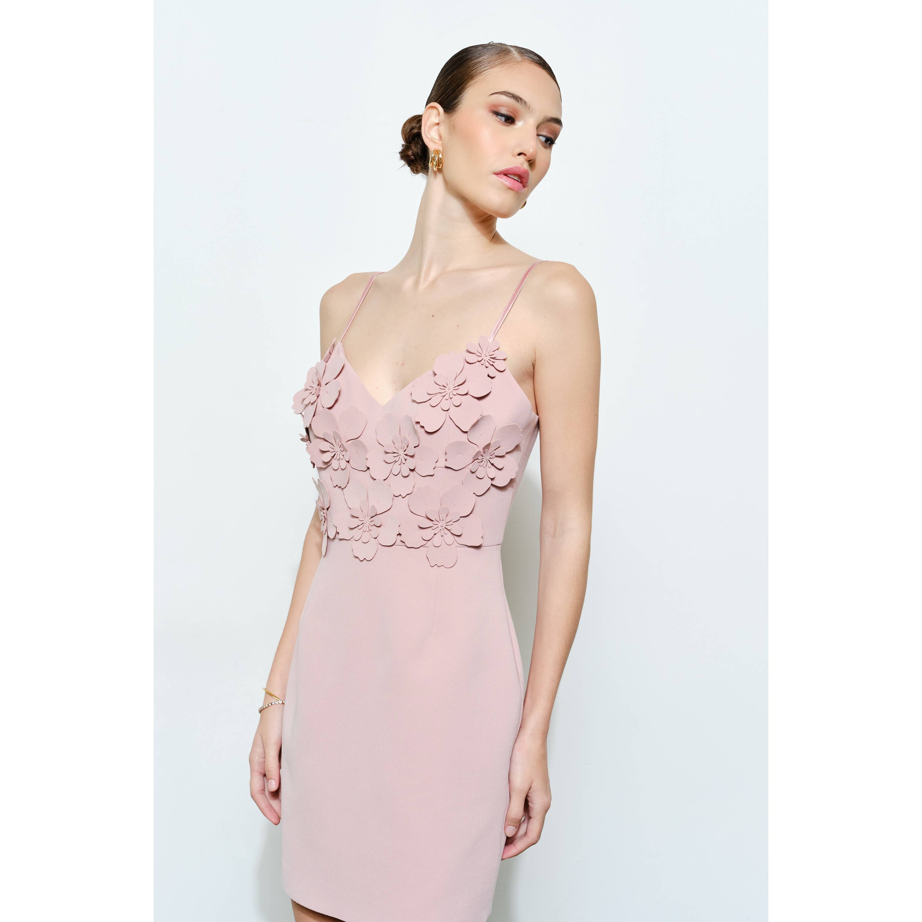 Romantic Bodycon Mini Dress