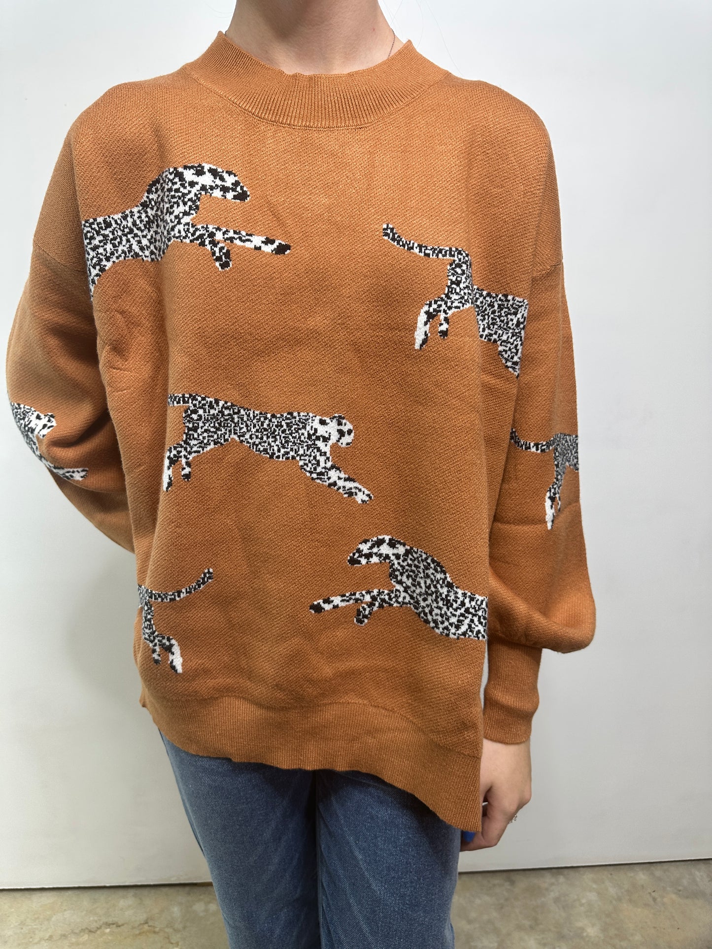 Wildcat Sweater