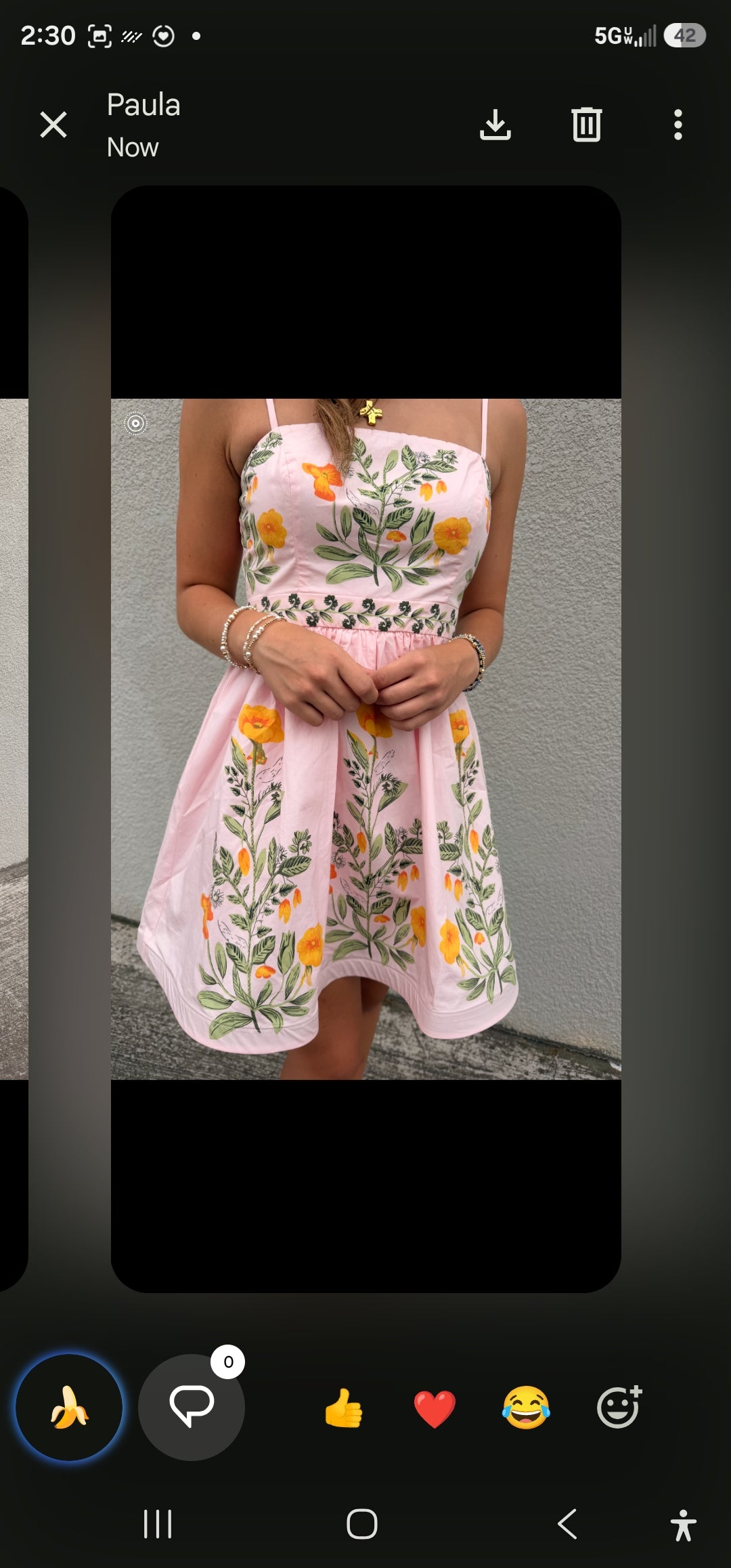 Rachel Mini Dress
