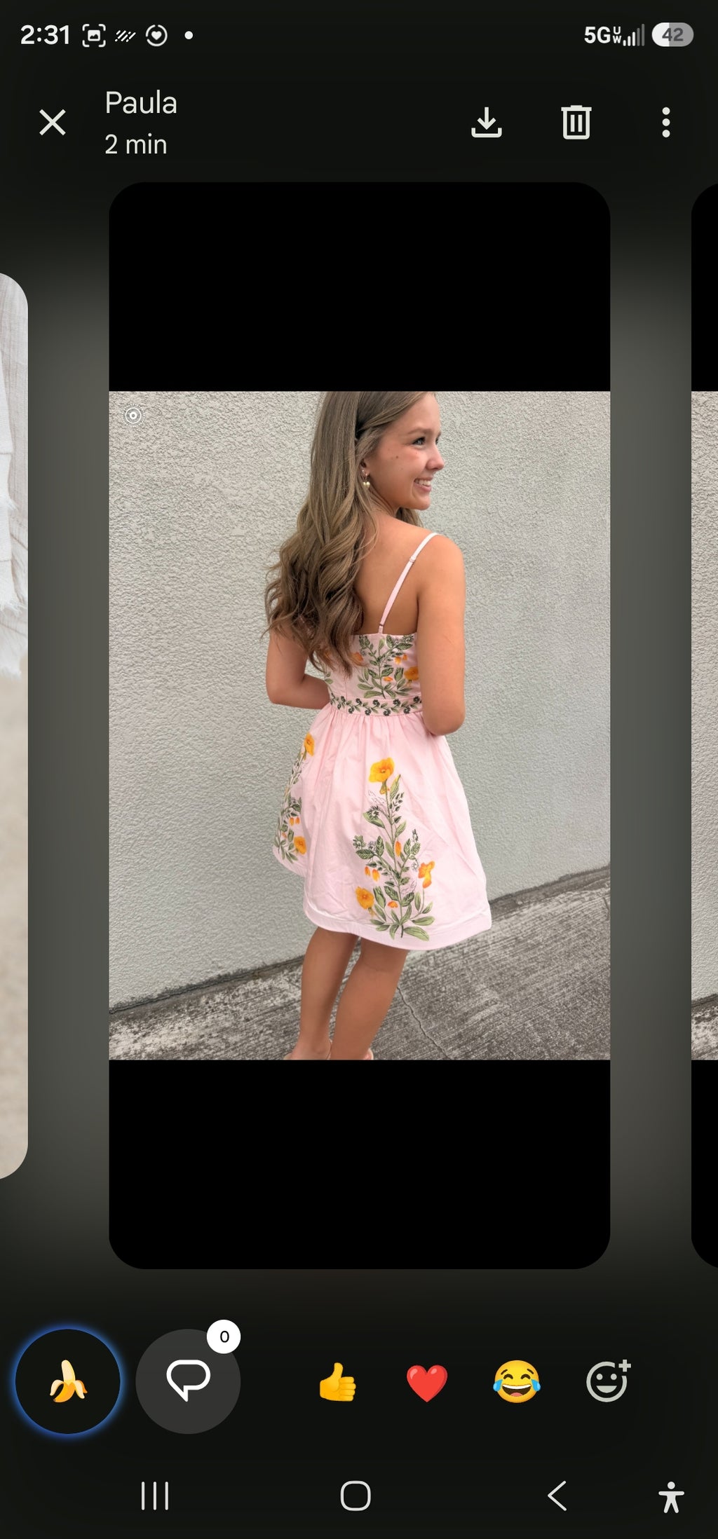 Rachel Mini Dress