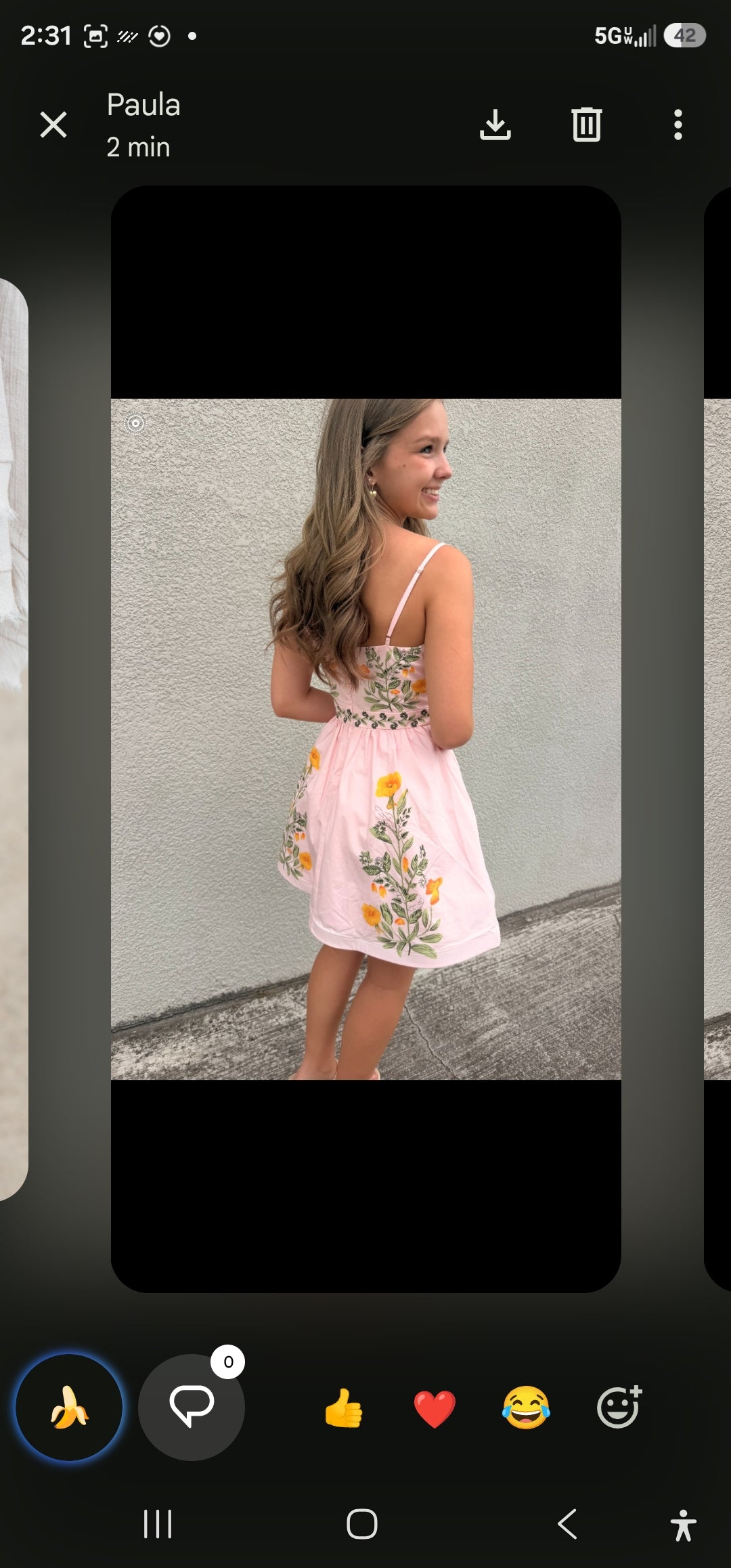 Rachel Mini Dress