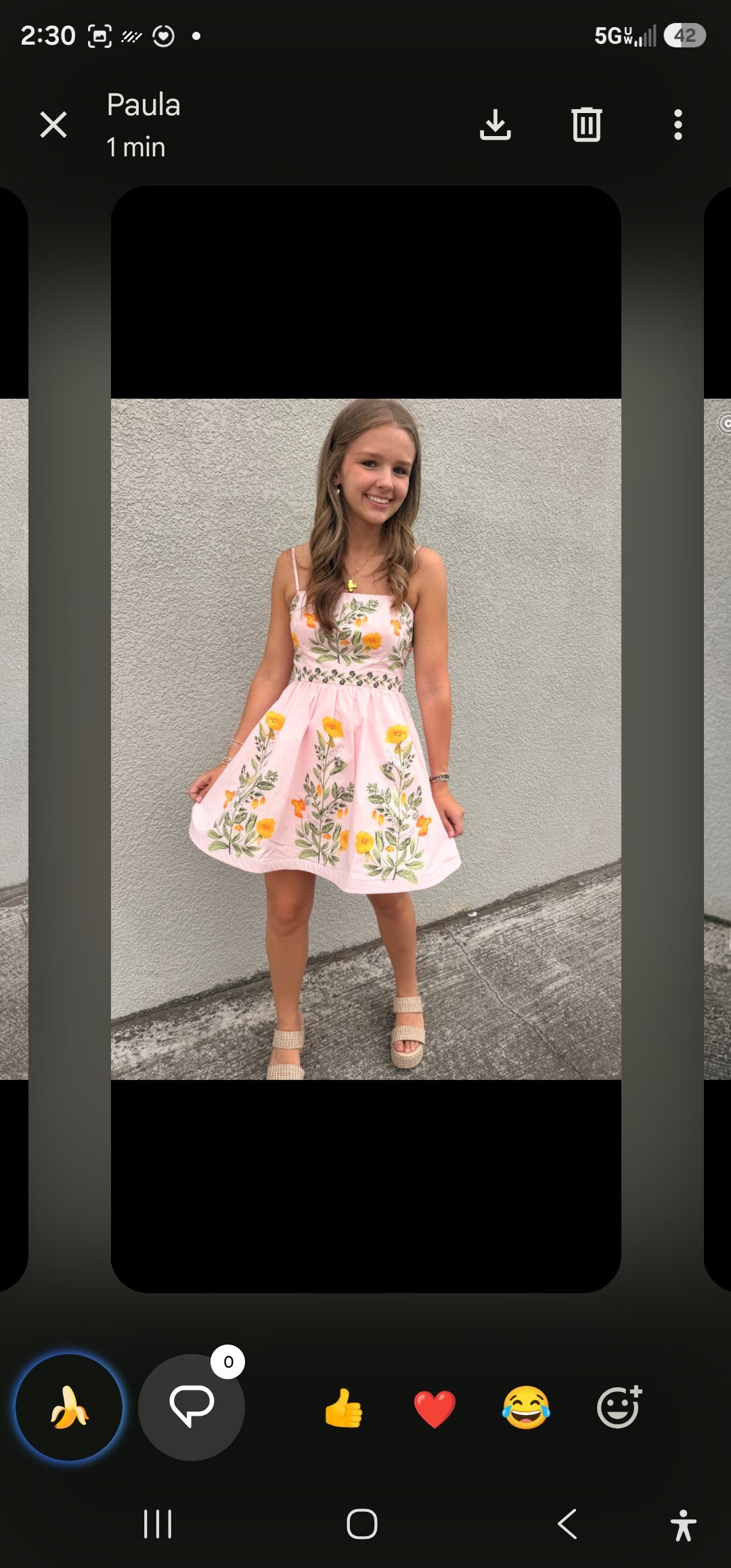 Rachel Mini Dress