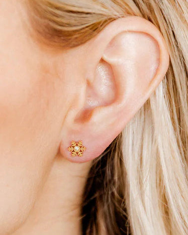 Linny Co Snowflake Earrings