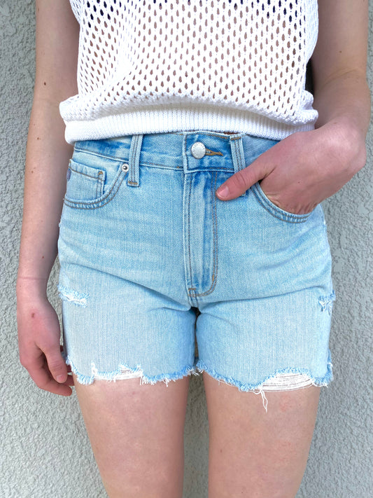 Darcy Distressed Shorts